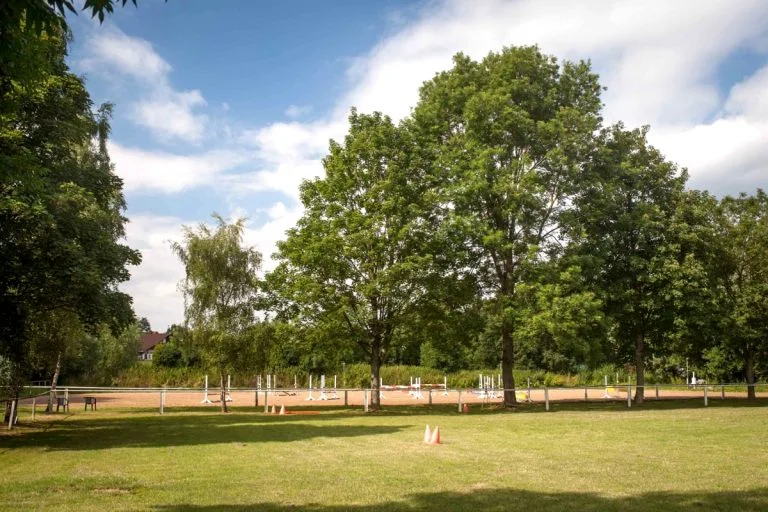 Außenreitplatz im Sommer